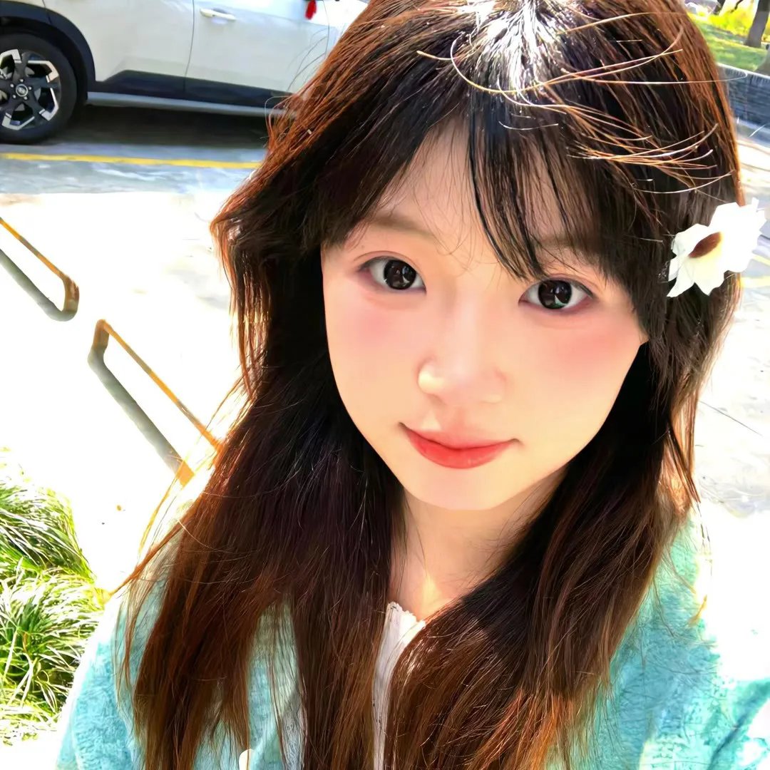 山鹰之歌